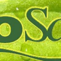 Салон красоты Волос BioSalon логотип