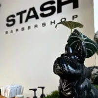 барбершоп stash изображение 16