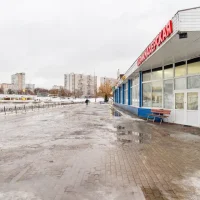салон-парикмахерская у пруда изображение 3
