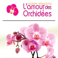 салон красоты l'amour des orchidees изображение 3